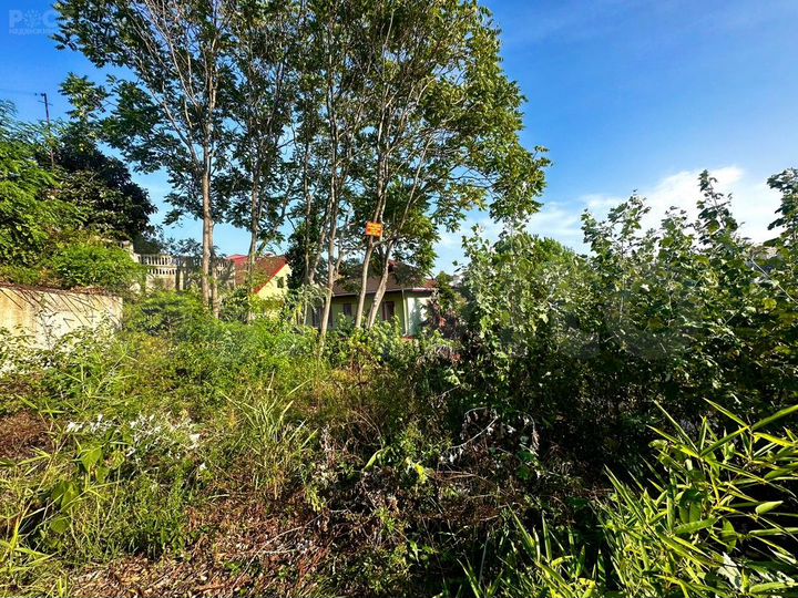 Участок 8 сот. (ИЖС)