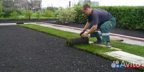 Укладка Рулонного газона