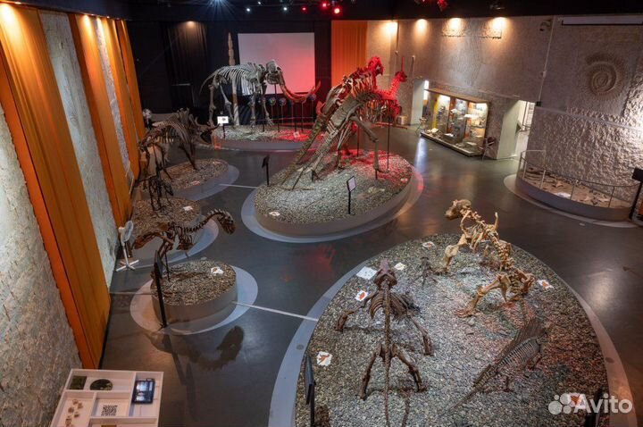 Музей Пермских древностей /лф2021