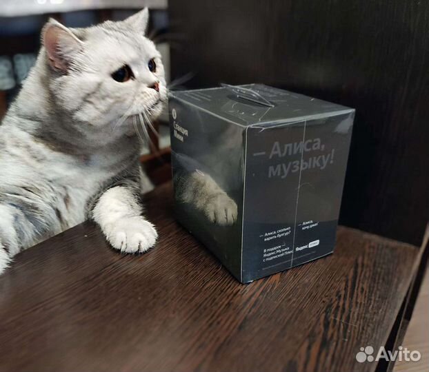 Новая Яндекс Станция Мини 2, black