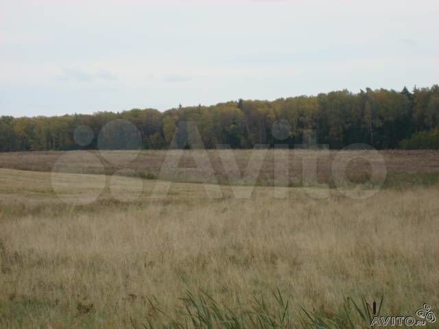 Участок 6,5 га (СНТ, ДНП)