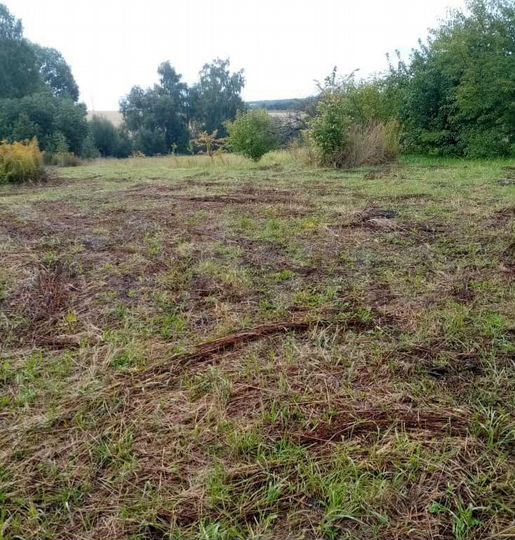 Участок 47 сот. (ИЖС)