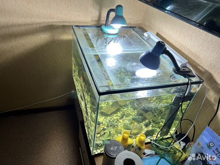 Аквариум 200 литров