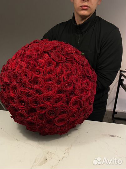 Розы красные. Розы 25 шт. Розы 51 шт