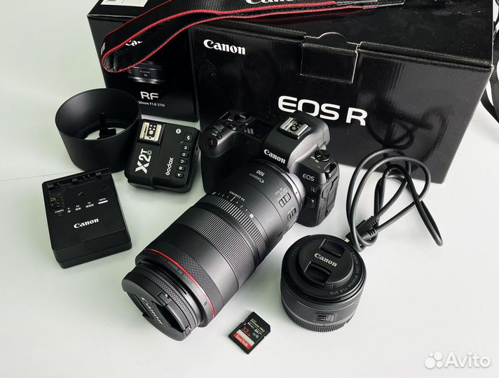 Canon R + RF 100mm macro + RF 50mm 1.8 + X2t + B+W