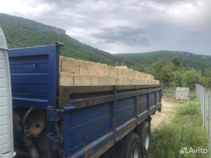 Ракушка