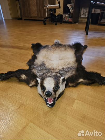 Ковёр из Барсука