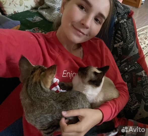 Передержка домашних животных, выгул собак