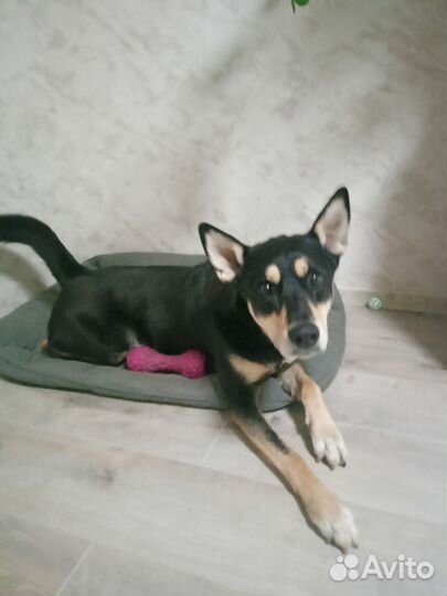 Массаж пушистым