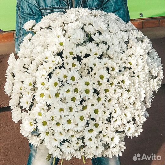 Букет из Хризантем. Цветы с Доставкой