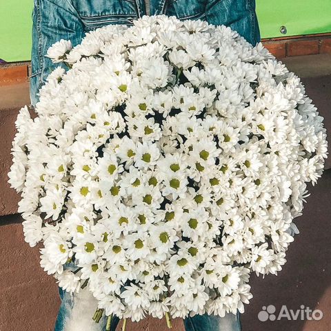 Букет из Хризантем. Цветы с Доставкой