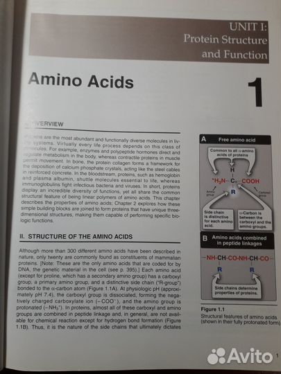 Книга по медицине Биохимия