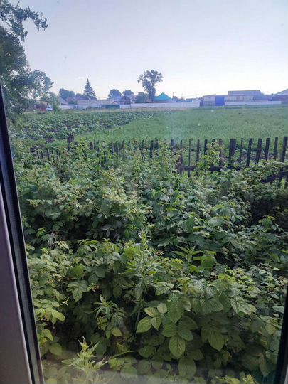 Дом 50 м² на участке 40 сот.