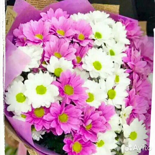 Цветы Цветы