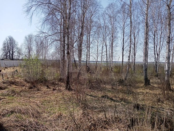 Участок 32 сот. (ИЖС)