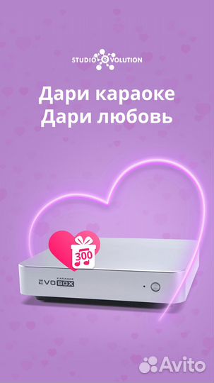 Караоке системы Evolution