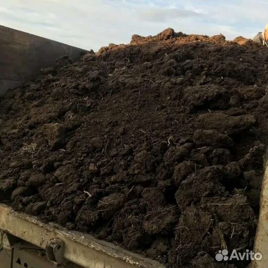 Перегной коровий