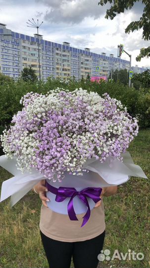 Букет из гипсофилы