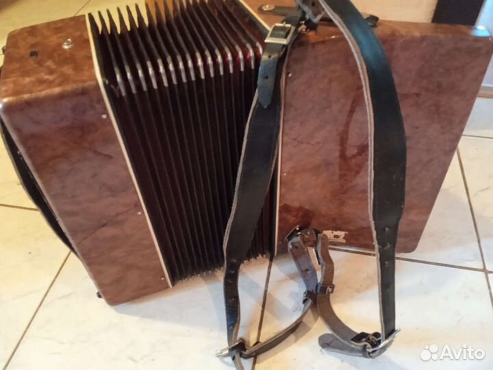 Аккордеон теза юность, 1/2