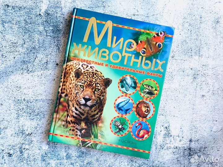 Комплект детских книг о животных