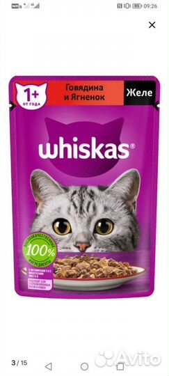 Влажный корм для кошек