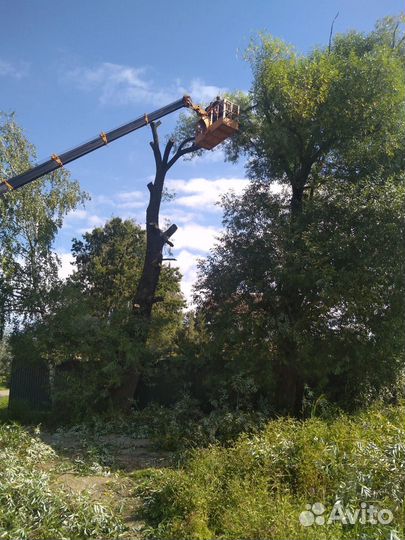 Благоустройство сада