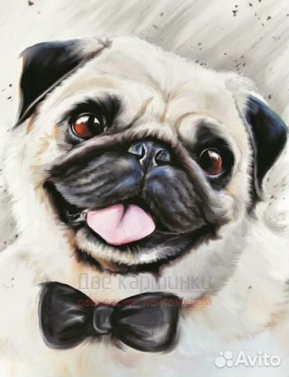 Алмазная мозаика 40x50 Нарядный мопс