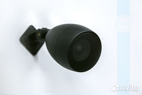 Уличные колонки cvgaudio Flo308BL