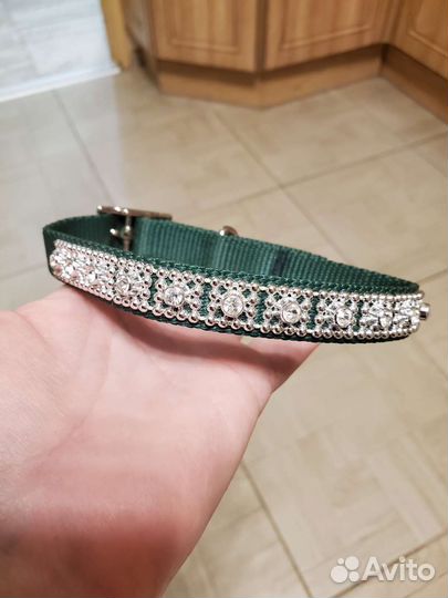 Новый собачий ошейник и поводок