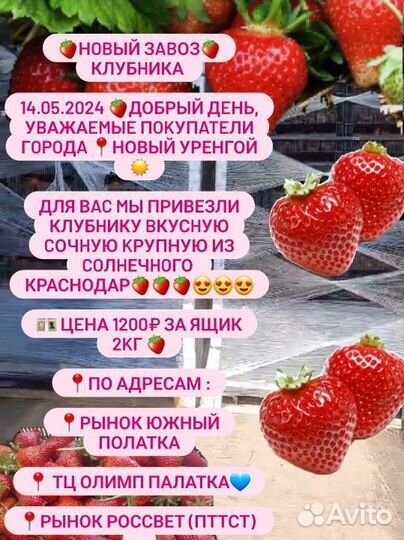 Клубника