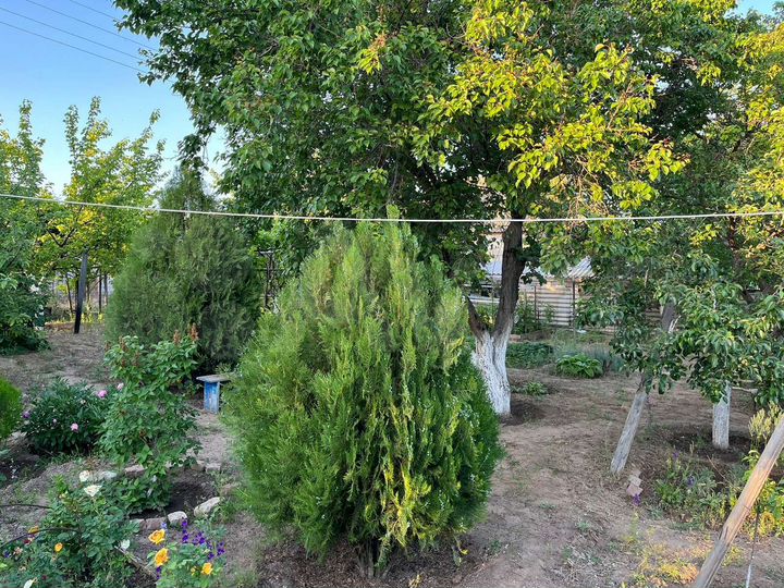 Дача 40 м² на участке 15,5 сот.