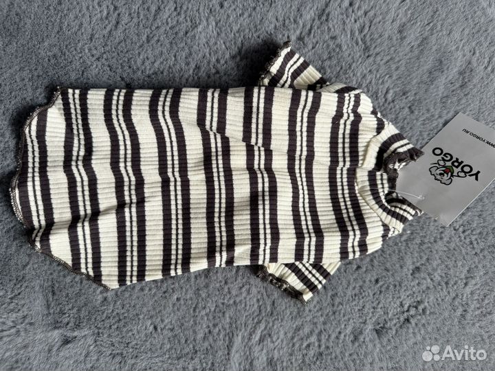 Одежда для кошек