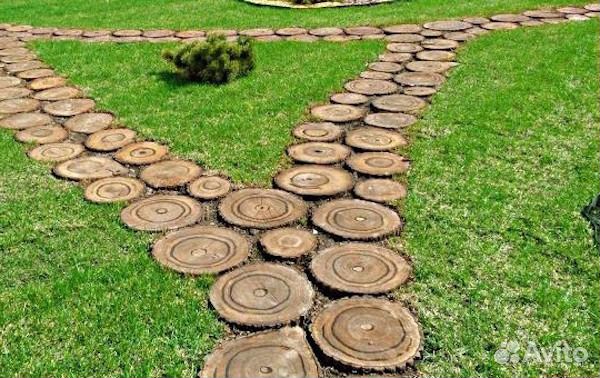 Cпилы деревьев для декора
