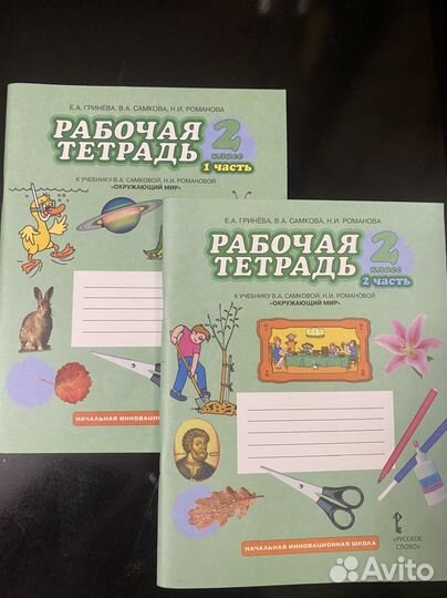 Рабочая тетрадь окружающий мир Гринёва 2 класс
