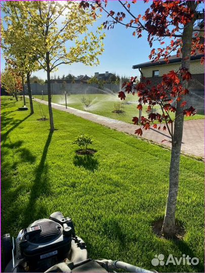 Рулонный газон