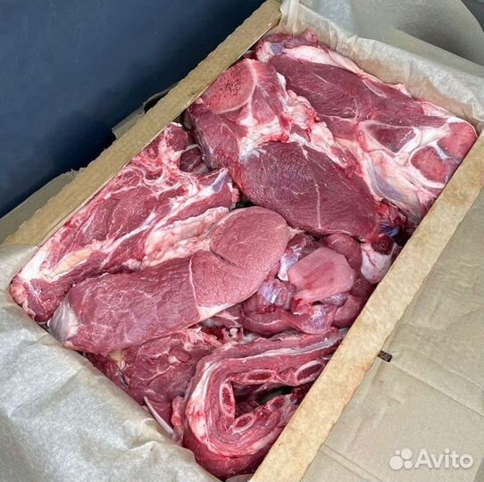 Мясо телятина