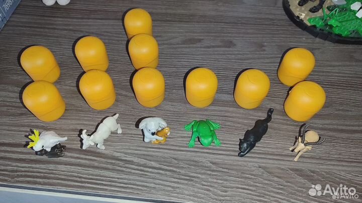 Kinder Natoons 2023/24