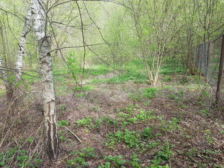 Участок 21 сот. (ИЖС)