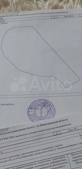 Участок 4 га (СНТ, ДНП)