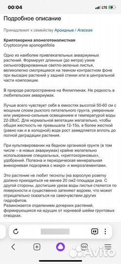 Криптокорина апоногетонолистная