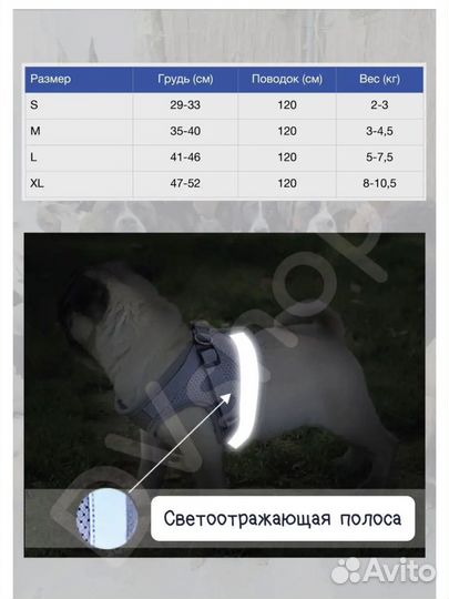 Новая разная одежда для животных