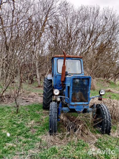 Трактор МТЗ (Беларус) 50, 1981
