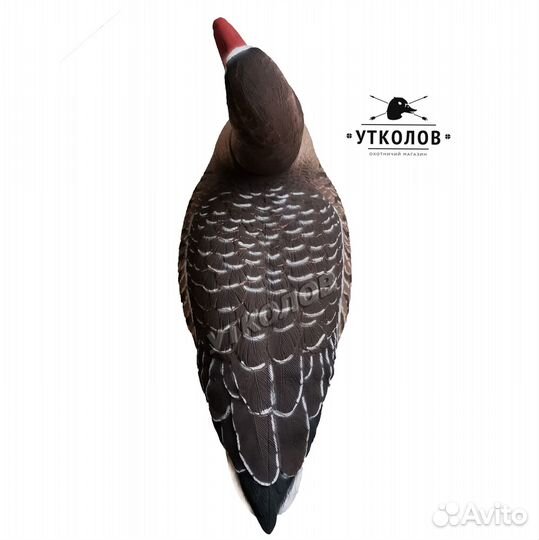 Чучело разборное гуся 