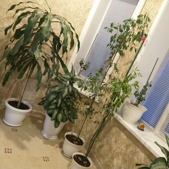 Дом 300 м² на участке 4,5 сот.