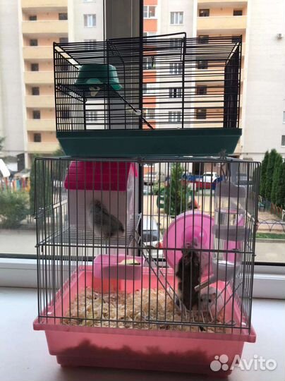 Клетка для грызунов