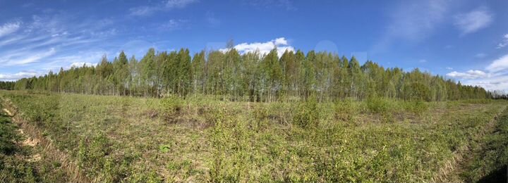 Участок 38 сот. (ИЖС)