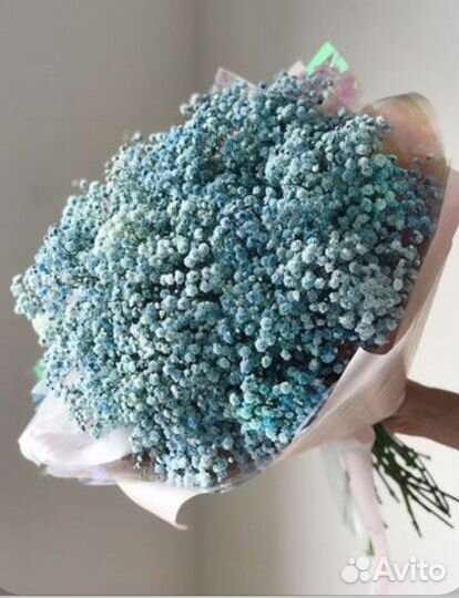 Гипсофила букет