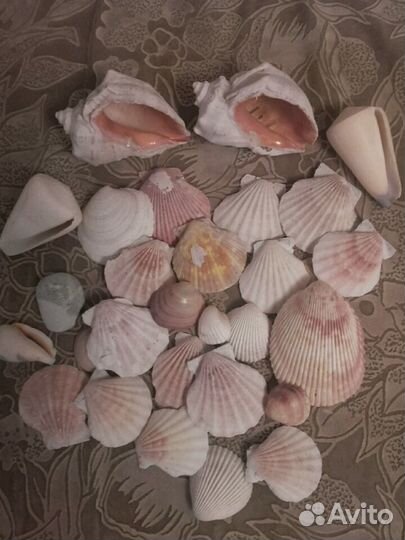 Грунт цветной Грот и другой декор для аквар