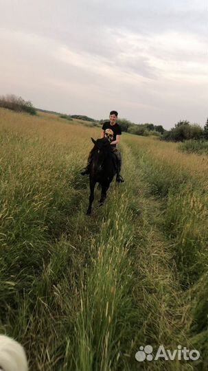 Конные прогулки, катание в санях