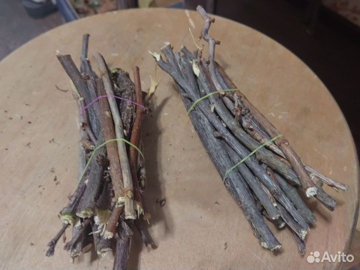 Ветки для грызунов